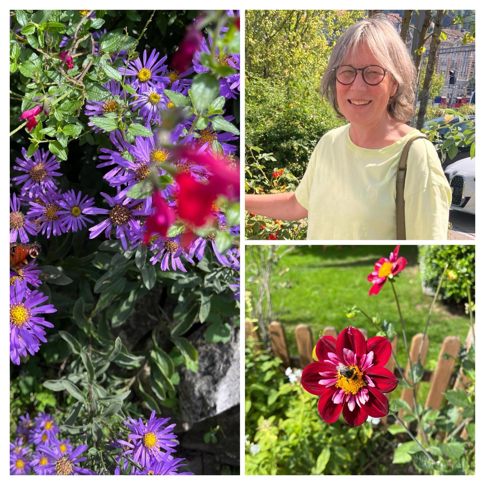 meinedesignerei.de webdesign Ravensburg